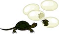 Cute cartoon European pond turtle hatching out of egg Royalty Free Stock Photo